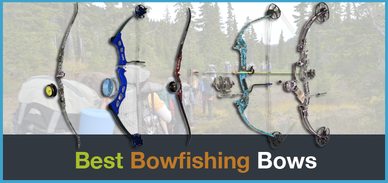 Top 5 Best Bowfishing Bows 2018: Bows for Bowfishing Reviews - Navy Mars