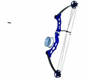 best bow for bowfishing