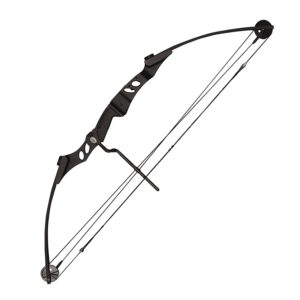 best compound bows