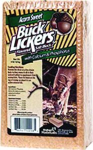 best deer attractant food