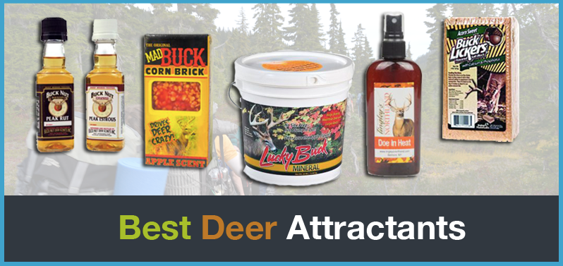 best deer attractants