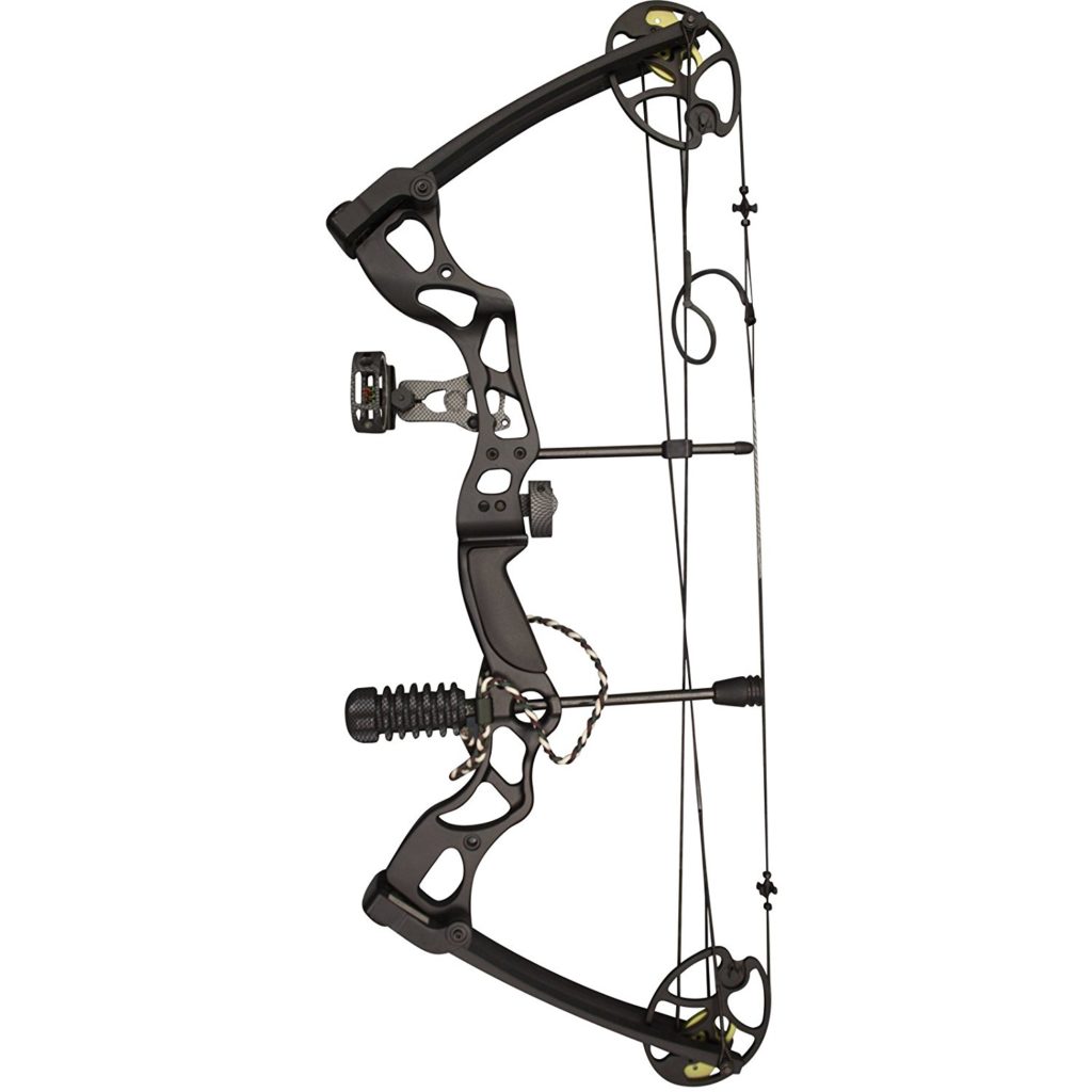 Top 7 Best Compound Bows for Hunting 2018: Compound Bow Reviews - Navy Mars